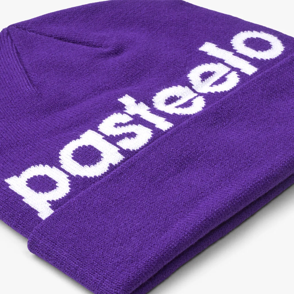 Beanie Purple 2
