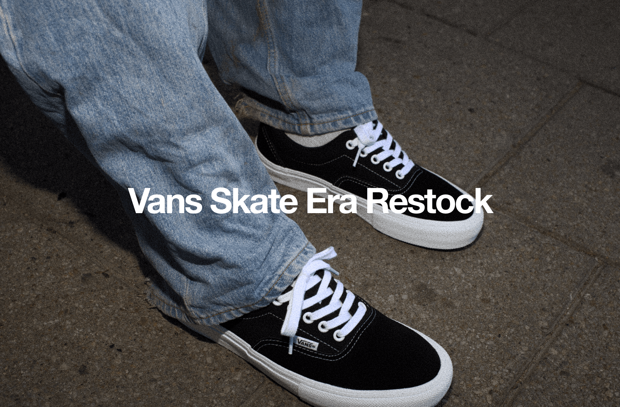 Webbanner Vans Skate Era Restock